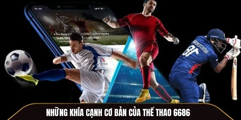 Những khía cạnh cơ bản của thể thao 6686