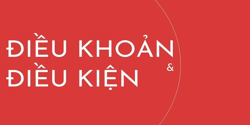Điều khoản điều kiện 6686