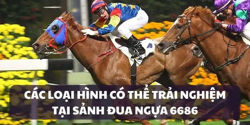 Các loại hình đua ngựa