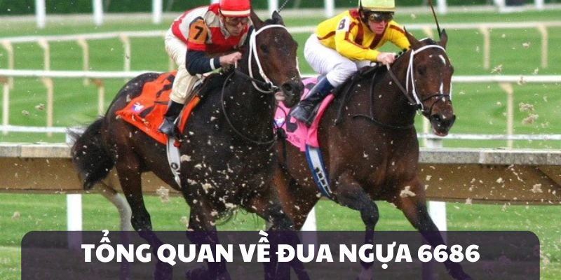 Giới thiệu đua ngựa 6686