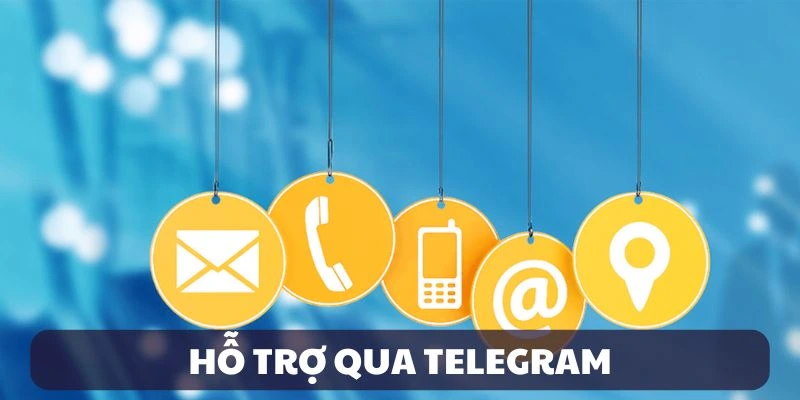 Liên hệ qua Telegram