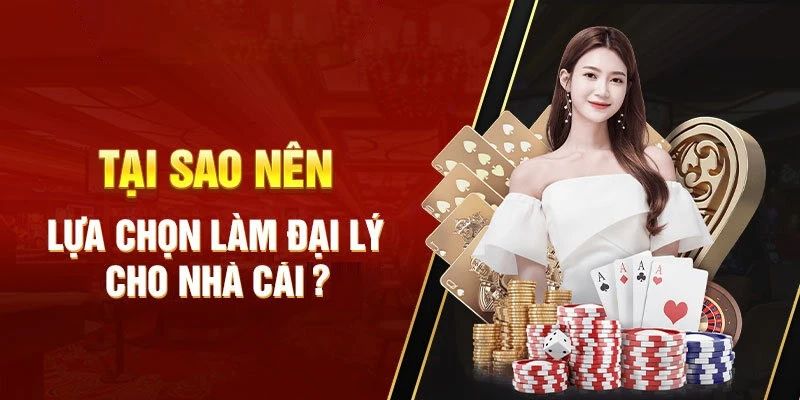 Lý do bạn trên trở thành đại lý 6686