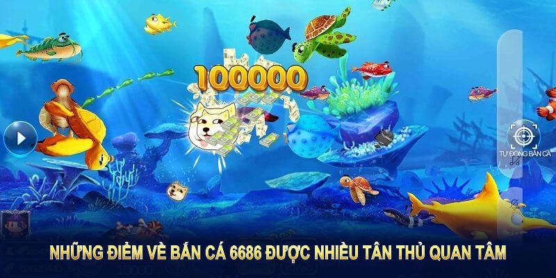 Những điểm về bắn cá 6686 được nhiều tân thủ đặc biệt quan tâm